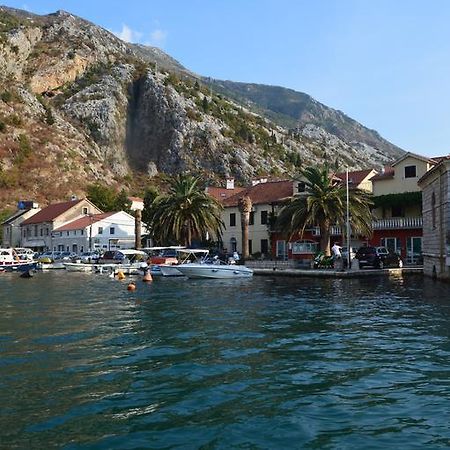 Apartments Qualitas Kotor Zewnętrze zdjęcie