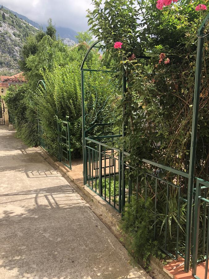 Apartments Qualitas Kotor Zewnętrze zdjęcie