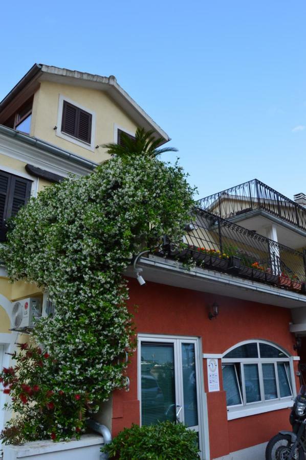 Apartments Qualitas Kotor Zewnętrze zdjęcie